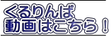  ͂I