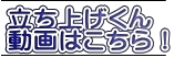 グ ͂I