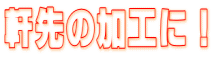 ̉HɁI