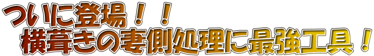 ɓoII @̍ȑɍŋHI