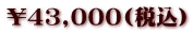 \43,000(税込)