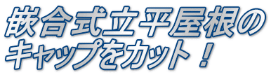嵌合式立平屋根の キャップをカット！